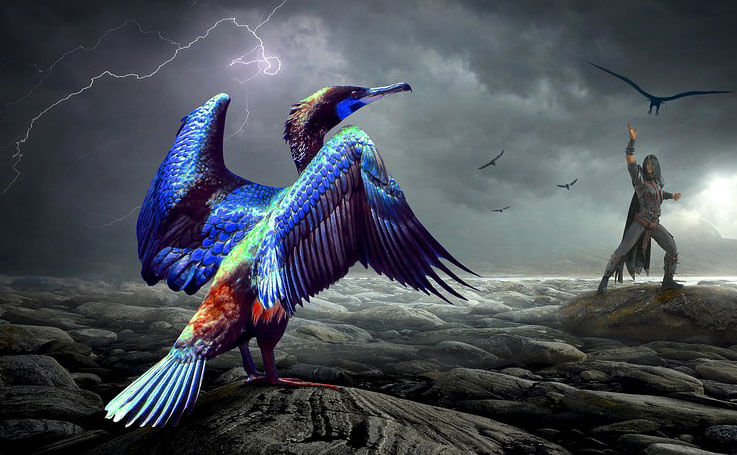 Print, Web, 3D Animation Course by MAAC Ahmedabad